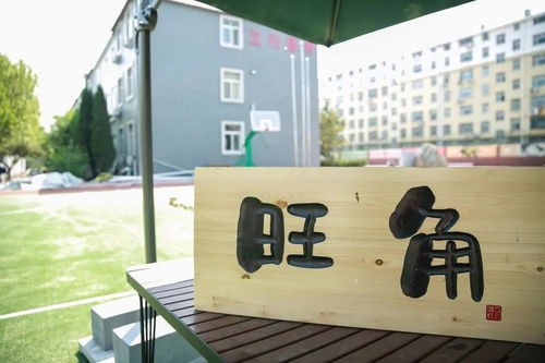 東營藝術生文化課輔導 理性選擇與科學備考——以濟南立行學?？萍贾笇槔?></a></div>
<div   id=